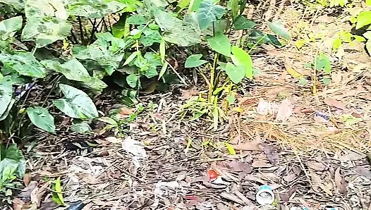 Silent beauty of my garden