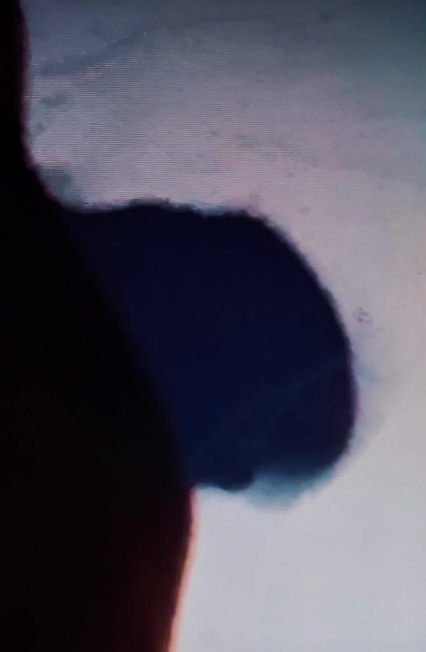 MAKING SHADOWS ON THE WALLS