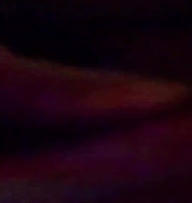 Sex in the Dark