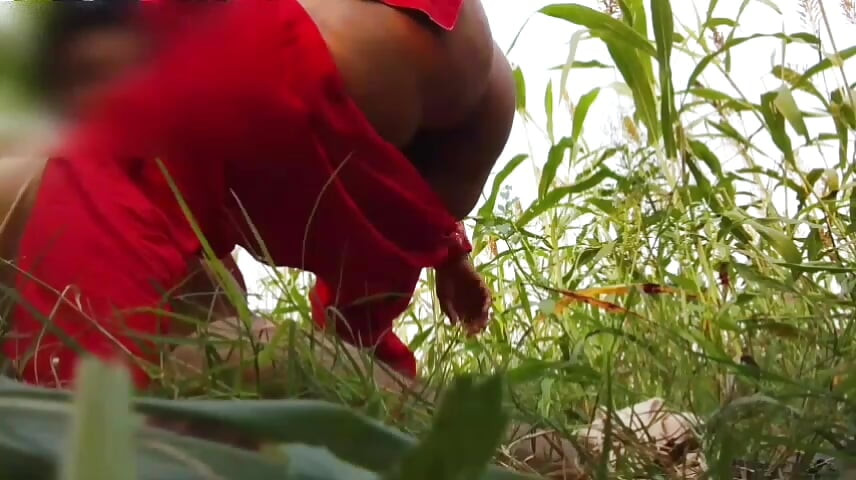 Ιστορία σεξ Jungle Me