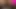Gay boy anal pleasure with max speed big head vibrator