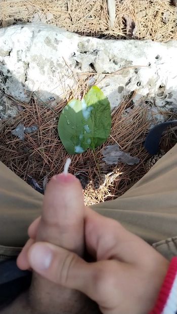 Éjaculation dans une forêt publique