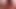german chubby small cock cum shot from two views small dick