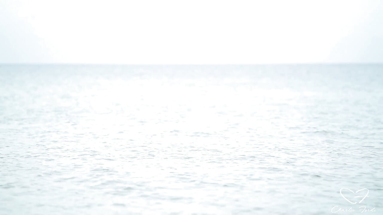 Shoreside Mit Charlie Forde, Logan Stapleton