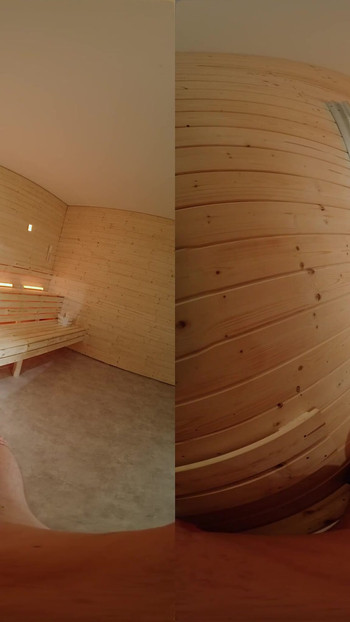 Iconic moment from "Fuck Me in the Sauna - Virtual Real Porn"