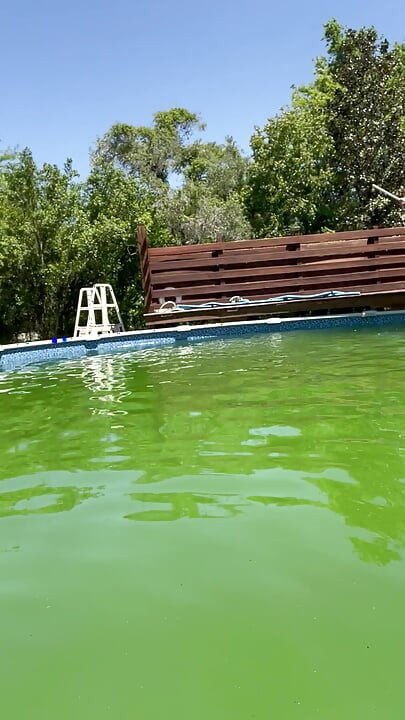 Pool-gespräch