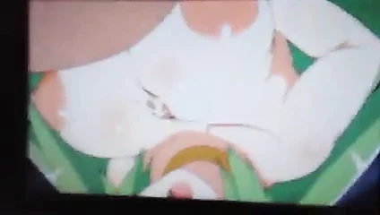 Palutena SOP