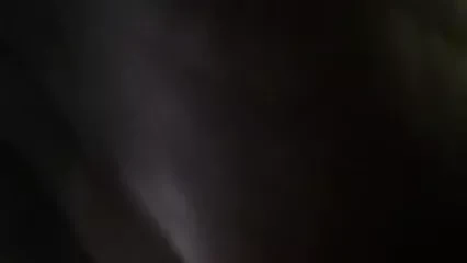 Wank
