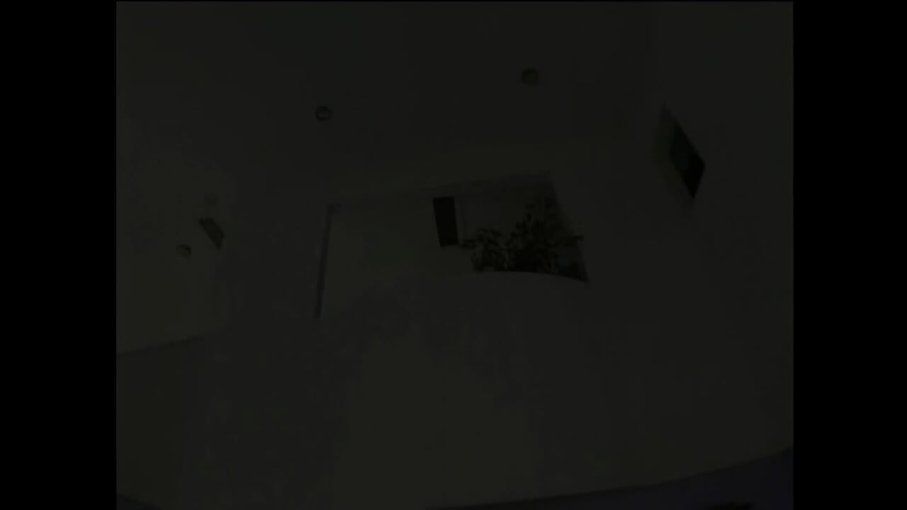 Haley Vs Page: Brunette and Blonde Banged by Two Big Mature Cocks