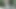 Forest Sex