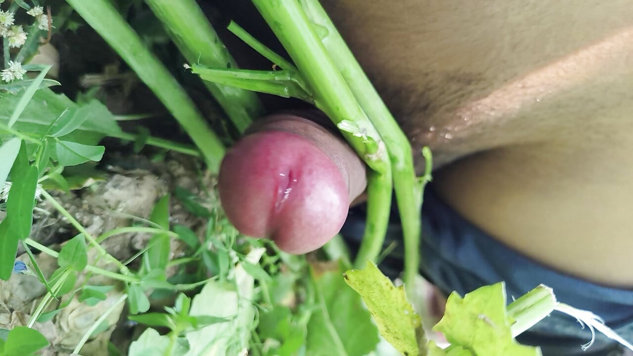 Desi village sarso ke khet me manoranjan