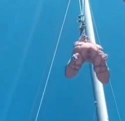 Shibari humillation public