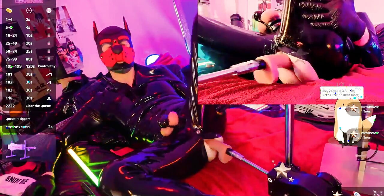 Nicolaus Rubber Show with Pet Mask