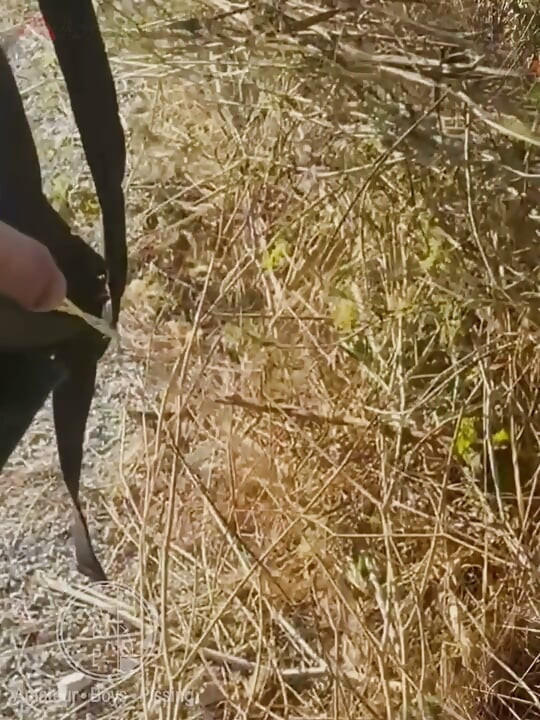 Boy Followed His Straight Friend Who Went for a Pee