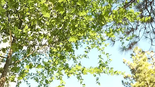 Жизнь с Вики - глава 6 - V6.0 - полная часть