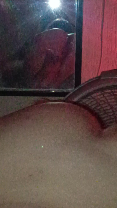 SEXY HOTWIFE BLOWJOB CUCKOLD