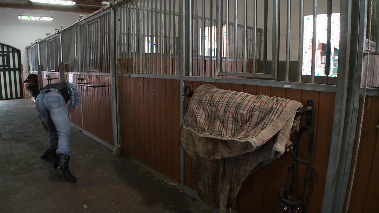 O curvă uimitoare fute un băiat în grajd