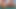 Bad dragon ky'el dev dildo taşaklarını götüme sokuyor