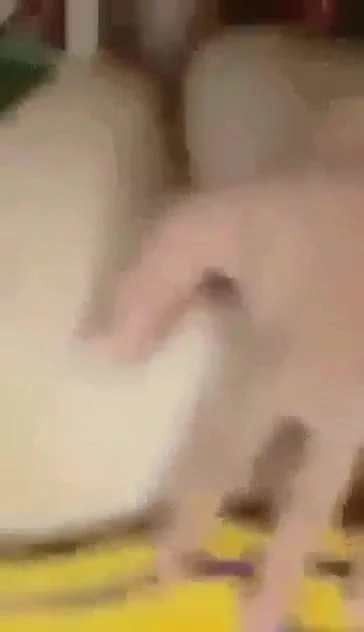 I love the gay ass