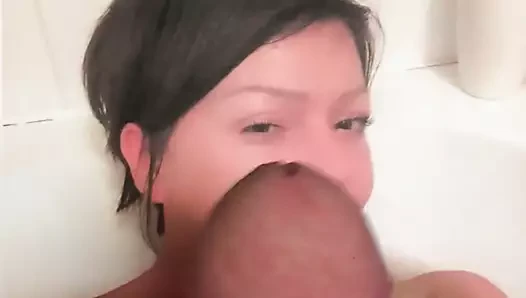 stibcroc'a ikinci haraç