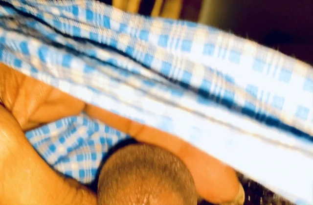 Suck my cock