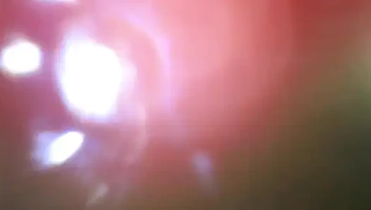 Camera Inside Me!! I'm Swallowing and Deepthroating Big Dinosaurs!