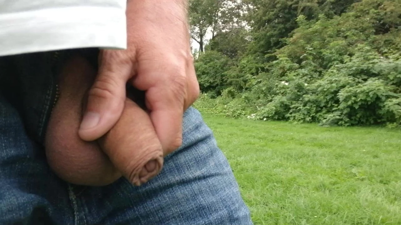 Nog een plas in het park