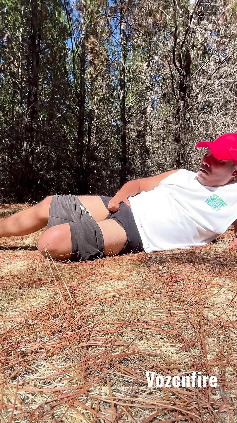 独自在秘密森林的视角