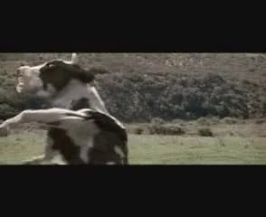 SILLY SEX FIGHT