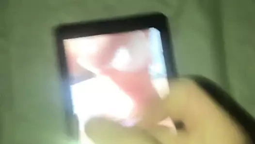 Tributo bir liliymarido 1