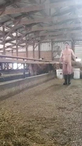 en el campo