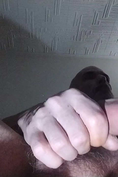 Meu pau, minhas regras