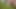 Compilation of outdoor urination