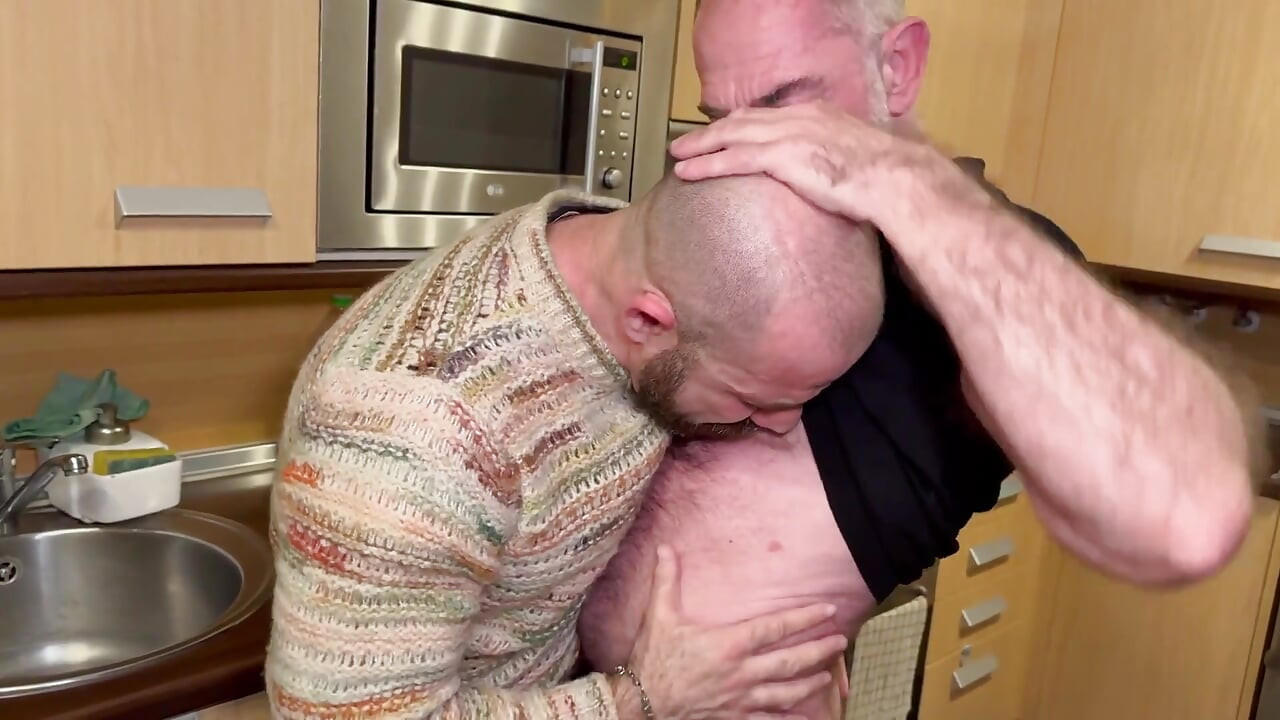 بازدیدکننده یک شب