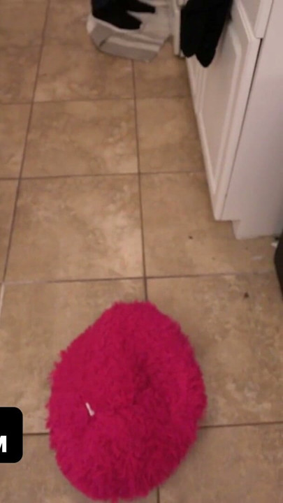 Super Chill Stepbro Instructs His Hot New Girlfriend To Jerk Off And Blow Off His Step-bro's Cock | Clip 3