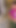 Jasmin wird von einem monster gegessen 2