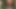 Chefin droht entweder Ficken oder Kuendigung