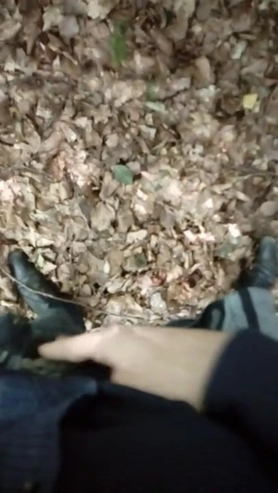 Premature in the forest