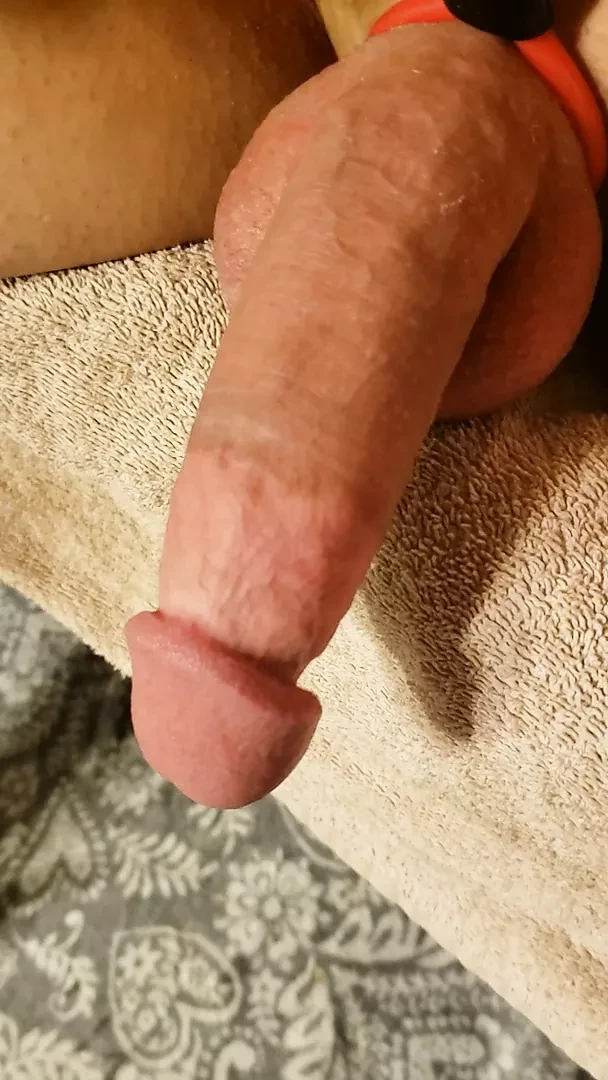 Smooth cock slowly filling up.
