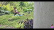 Pratinjau video