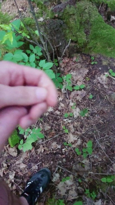 Cumming in the forest after work