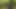 Step Mom's Secret Masturbation in Share Tent Turns Taboo Fuck!