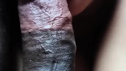 Blowjob und muschi ficken