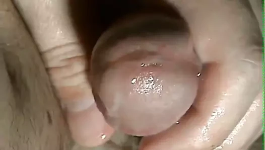 Yakın çekim sperm..