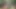 Risky Forest Bath Quickie - Almost Caught Fucking