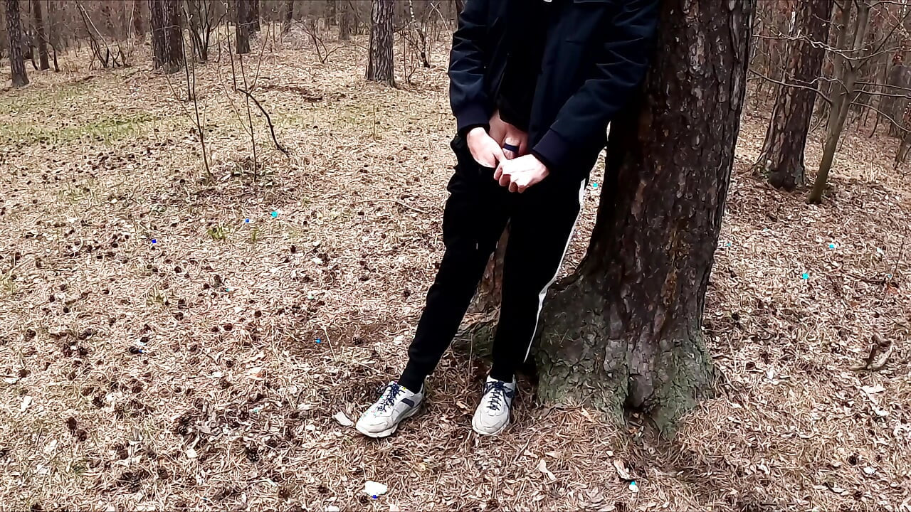The Guy Walks with A Vibrator in The Park and Masturbates