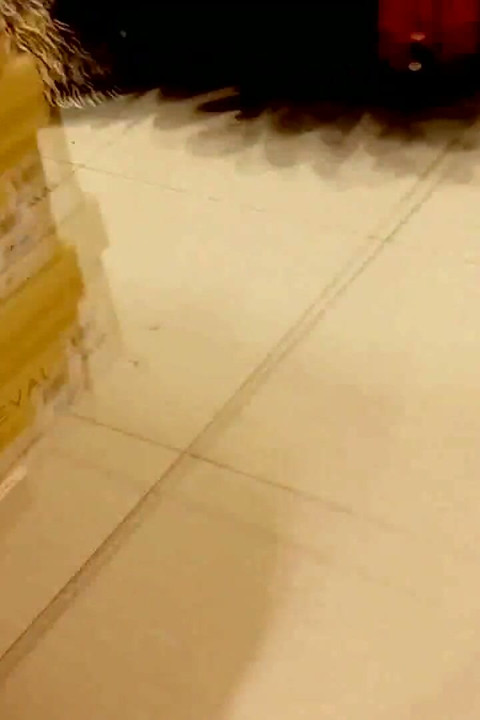 Cewek sange ini lagi asik muasin memeknya pakai sepatu di toko sepatu