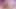ANALCUMBUNNY PMV SISSY WORLD