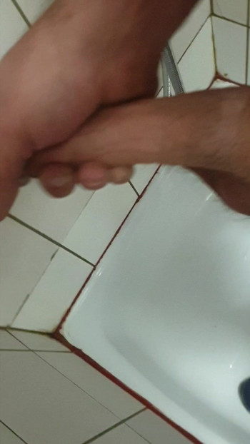 시호드로카