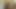 18 Yo first Time Gets Mind Blown in 48 Yo Bottom Bussy